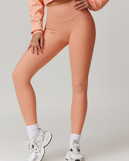ZASUWA Female Ribbed High-waisted Hip-lift Quick Dry Elastic Tight Leggings